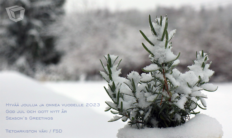 Joulukortti 2022. Luminen maisena, etualalla pieni laventelipensas, jonka lehdillä lunta.
