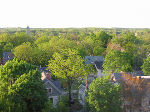 View over Ann Arbor